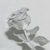 /album/project-indywidual/imagescaygnrr7-1-jpg/